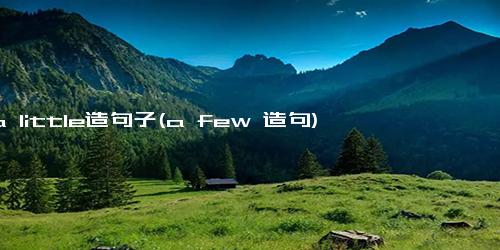用a little造句子(a few 造句)